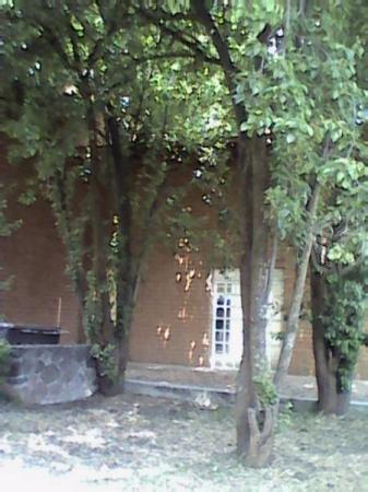 Casa habitacion campestre( construccion de adobe)