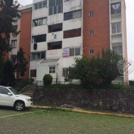 Departamento en renta , fuertes brotantes