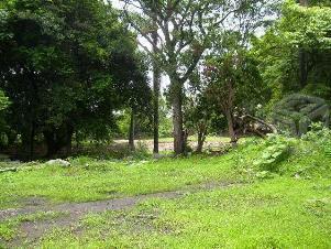 Excelente terreno ubicado