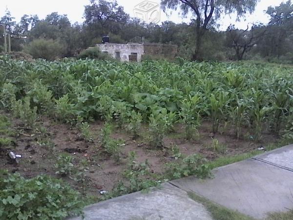 Terreno muy cerca de la uaem