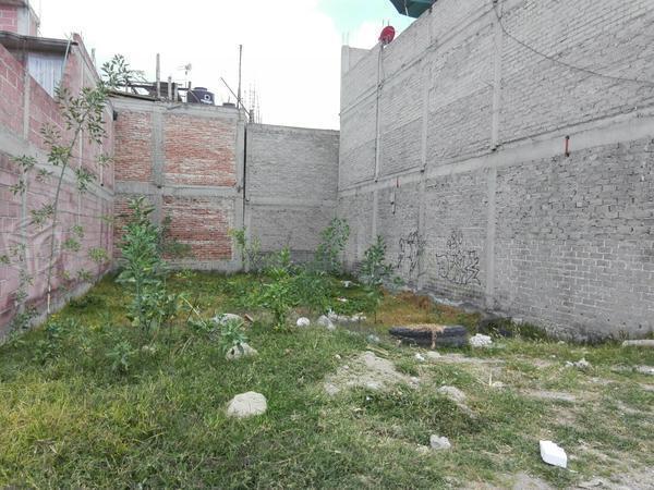 Lote en corte la Palma