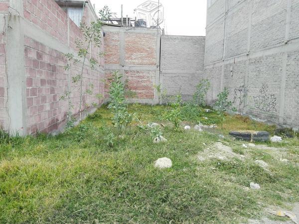 Lote en corte la Palma