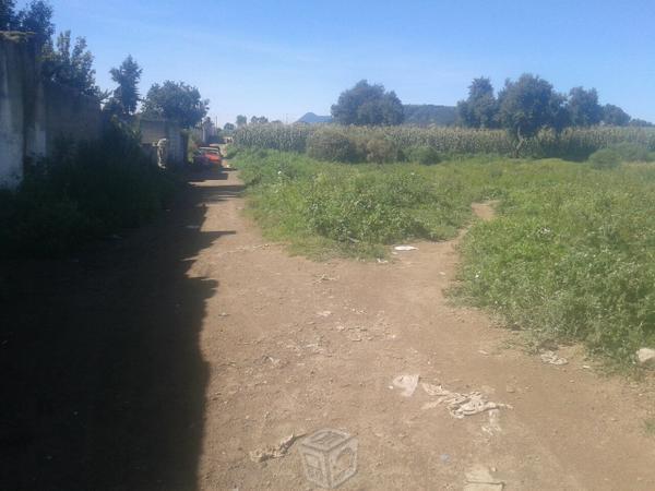 Lote con todos los servicios