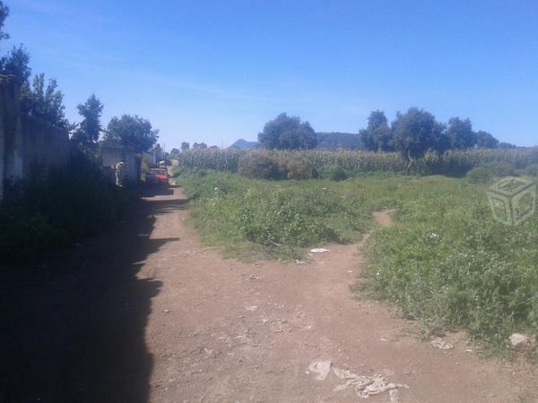 Lote con todos los servicios