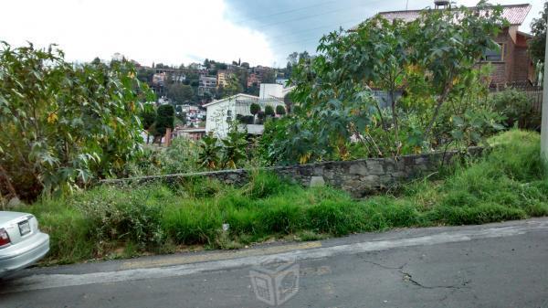 Bonito terreno en cd brisa