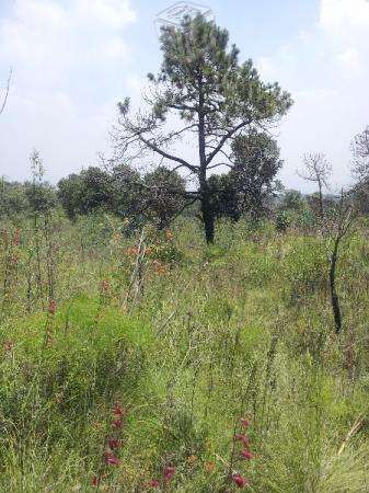 Terreno en el arenal de xitle DEL TLALPAN