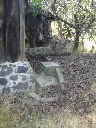 Terreno de campo en la ciudad