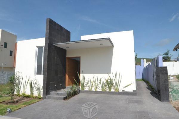 Una planta senderos de monteverde junto outlets