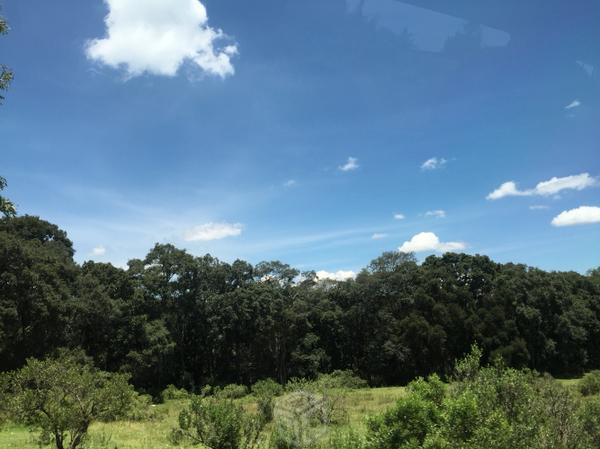 Terreno arbolado en Cahuacán