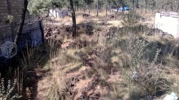 Terreno rustico en san miguel ajusco