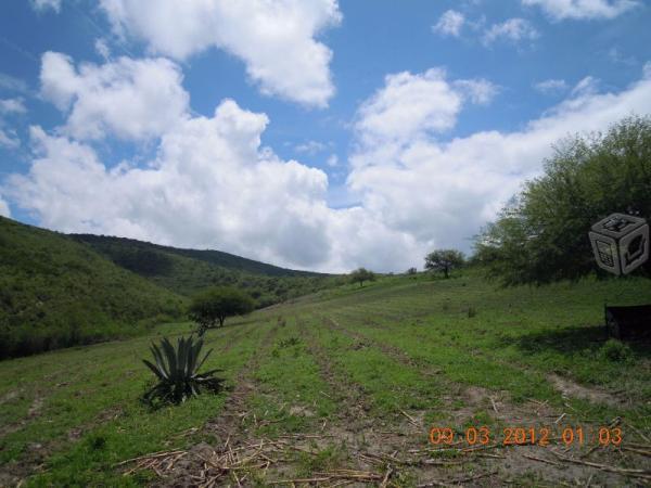 Magnifico rancho ganadero y agricola