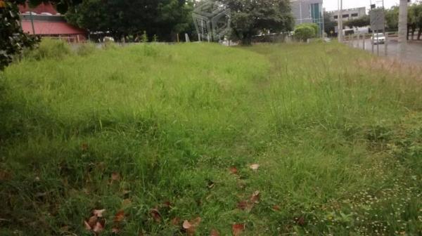 Terreno a espaldas de Galerias