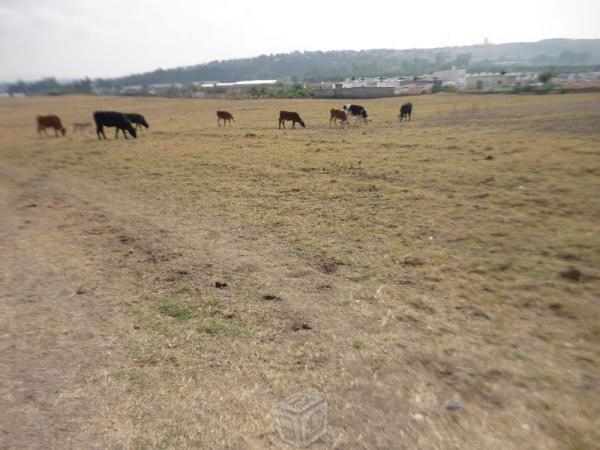 Terreno 3 has. al sur de la ZMG, por Plazas Outlet