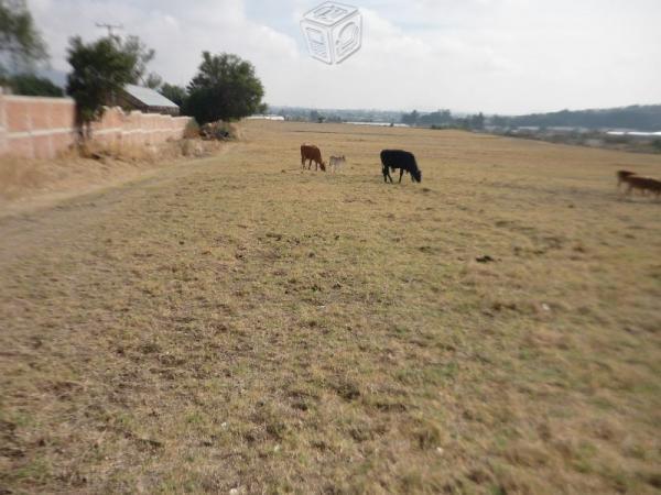 Terreno 3 has. al sur de la ZMG, por Plazas Outlet