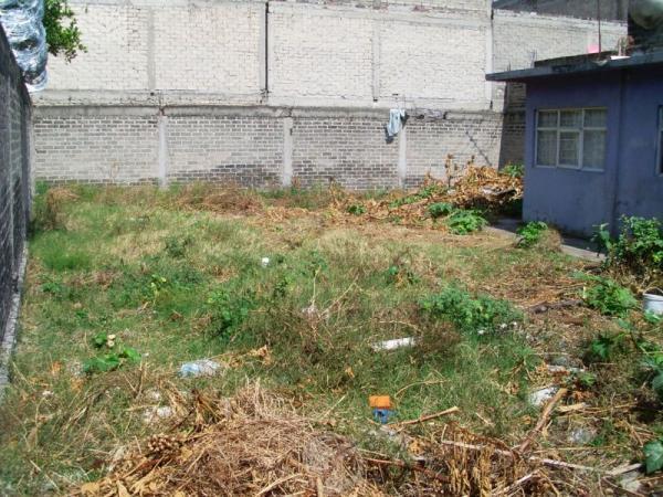 Casa con amplio terreno Colonia Nopalera