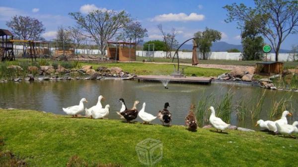 La casa de tus sueños en juriquilla