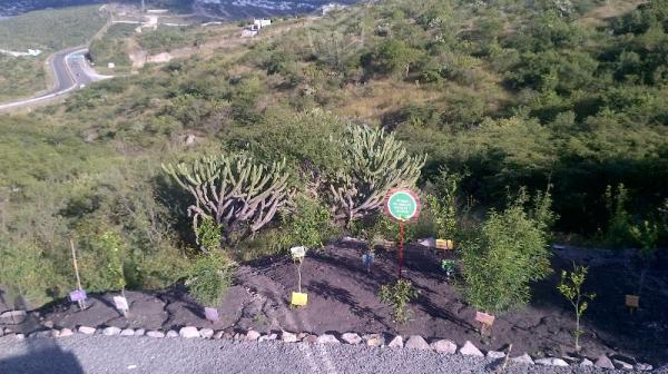 Terreno amplio en biograd juriquilla