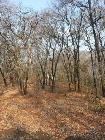 Terreno campestres dentro de Reserva Los Encinos