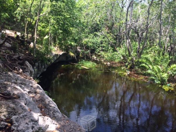 Lote 3 Hectareas con cenote en Cancun, oportunidad