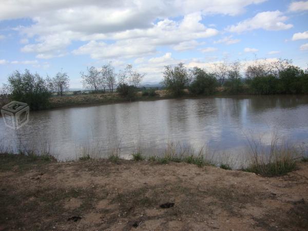 Pie de carretera fuentezuelas tx