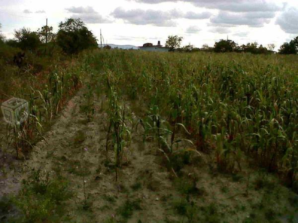 ¡terreno excelente ubicacion para inversionistas