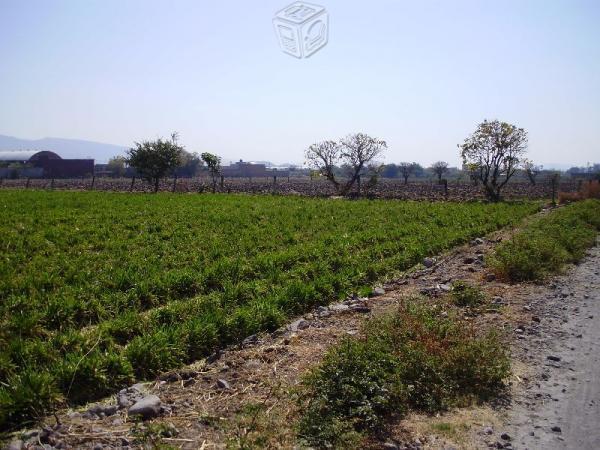 Mor. terreno único en zona centro