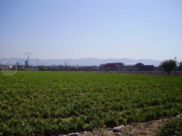 Mor. terreno único en zona centro