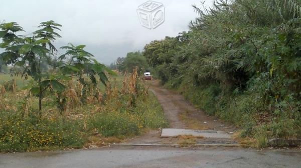 Terreno en tlalixtac