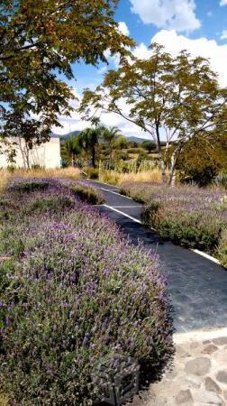 Excelente Terreno en Grand Juriquilla 195 m2