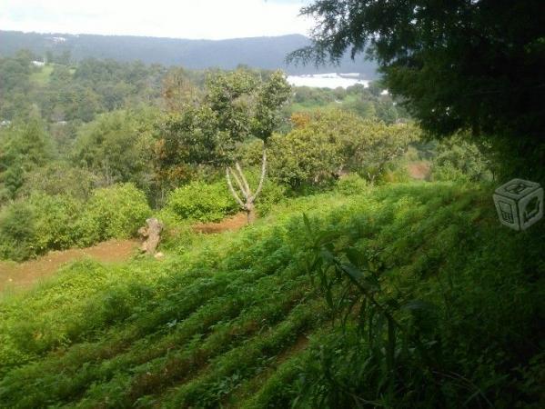 Bonito terreno rustico en Edo México