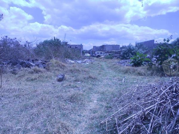 Terreno En Salvador Diaz Miron Por Metro Nopalera