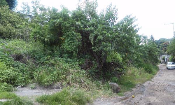 Precioso terreno en ,