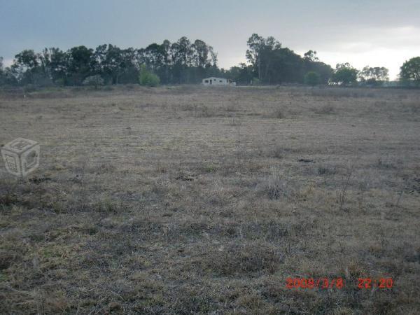 Terreno campestre para hacer casa de campo