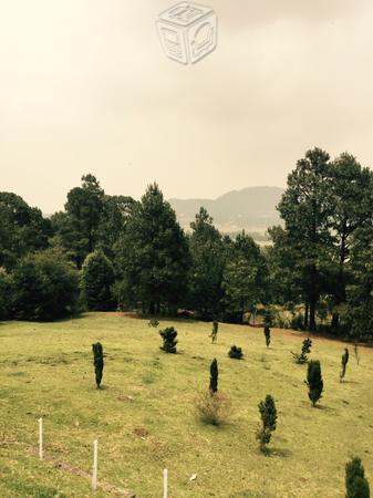 Terreno en Tlalpuente