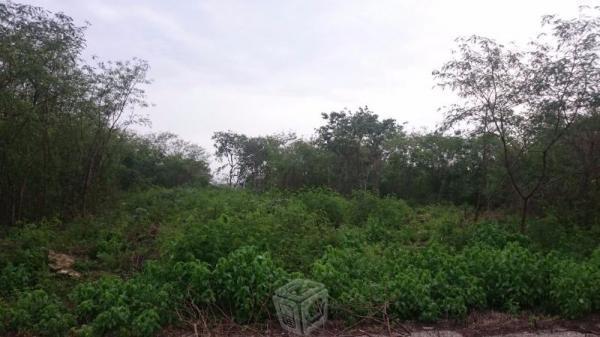 Terreno en Prados de  al Norte de Merida Yuc