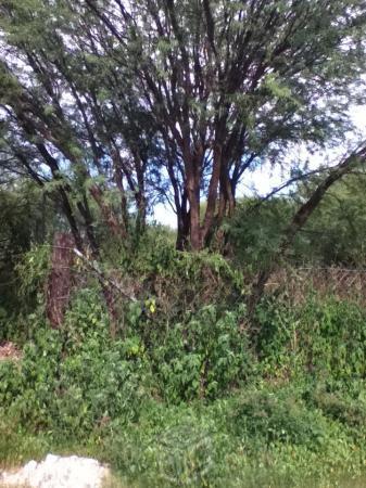 medidas ubicacion vendo terreno