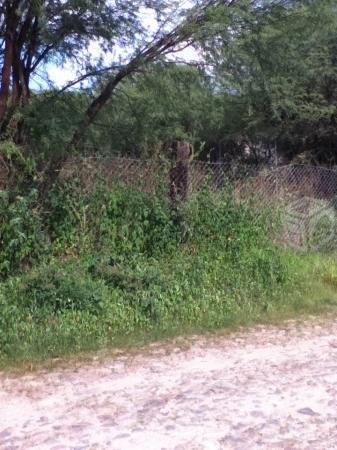 medidas ubicacion vendo terreno