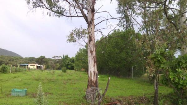 Terreno Bosque Primavera Venta del Astillero ZapJa