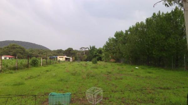 Terreno Bosque Primavera Venta del Astillero ZapJa