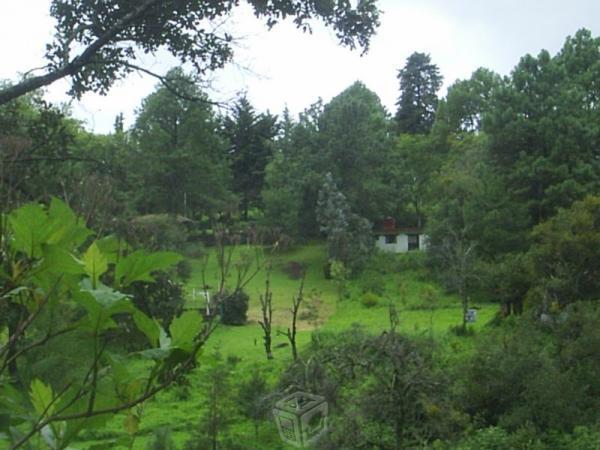 Propiedad de campo en el temazcal milcumbres