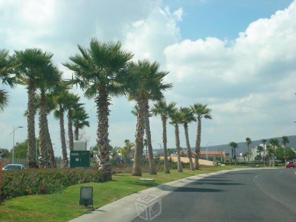 El Refugio, Fracc. con Vigilancia y Canchas Tennis