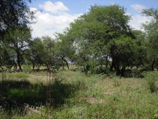 Terreno Plano en Zacoalco de Torres