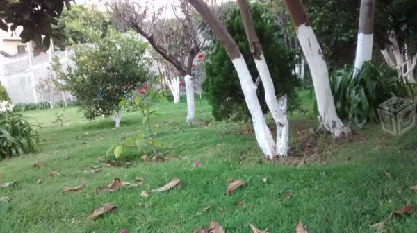 Atractivo lote con todos los servicios