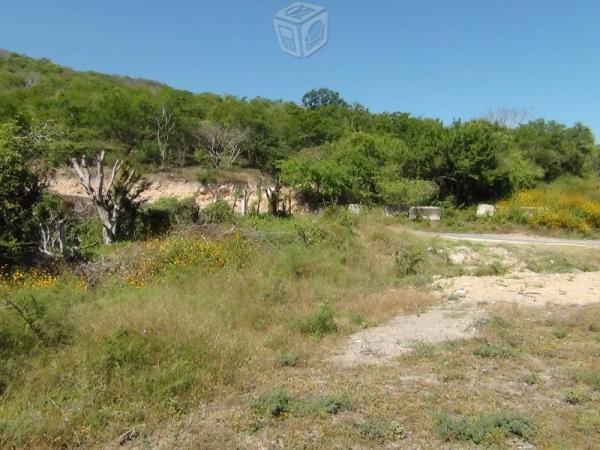 Terreno de 416 hectareas en huitzuco