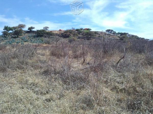 Terreno en la Joya de Buenavista