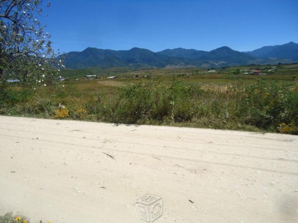 Terreno Cerca del CARRIL BUENA VISTA, CATANO