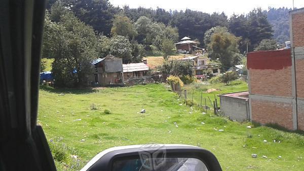 Terreno desierto de los leones