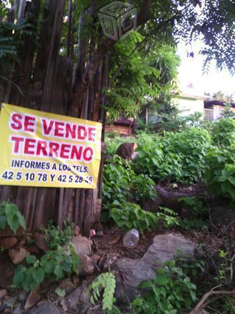 Terreno valdio