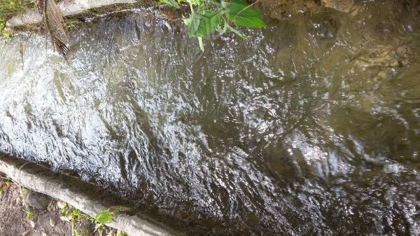 Terreno con abundante agua de yacimiento