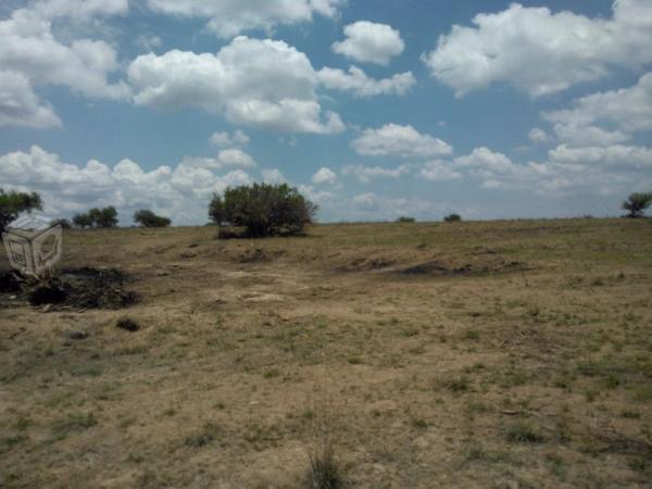 Terreno en tanque de los jimenez